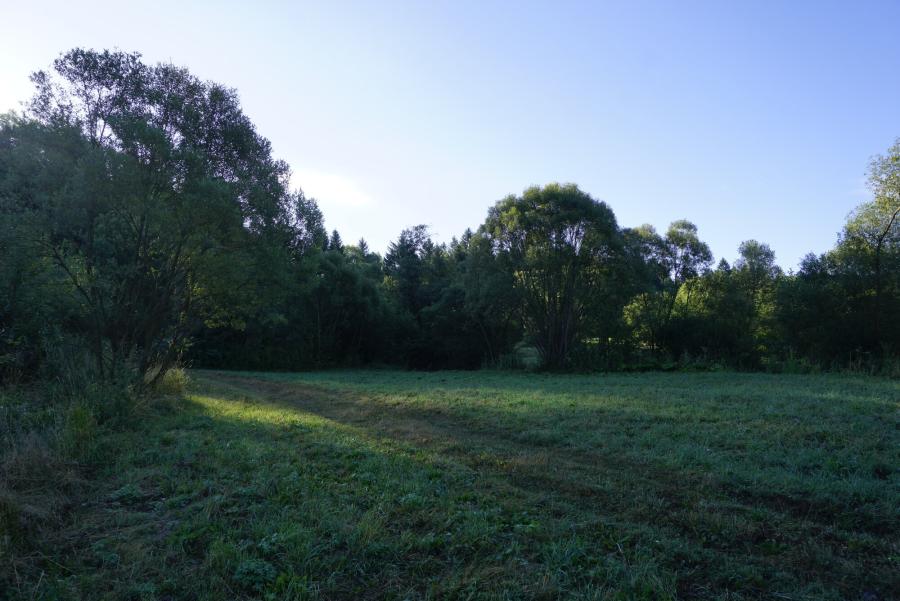 Gyalogos 16 km